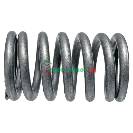  Valve spring | 81717773