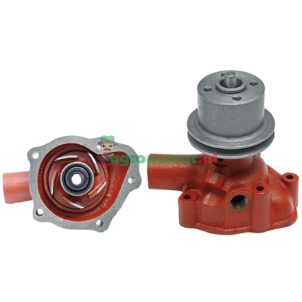  Water pump | K909565, K961011