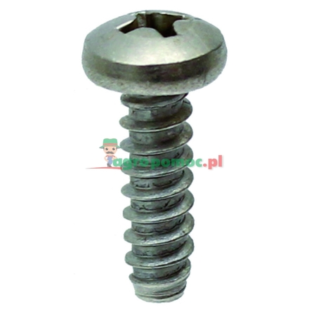 ARAG Fixing screw