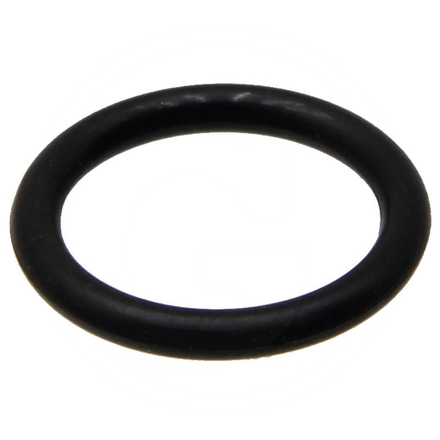 ARAG O-ring