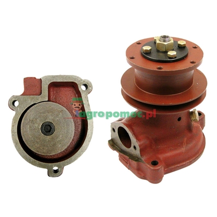 Belarus Water pump | 240-1307-010-A-03