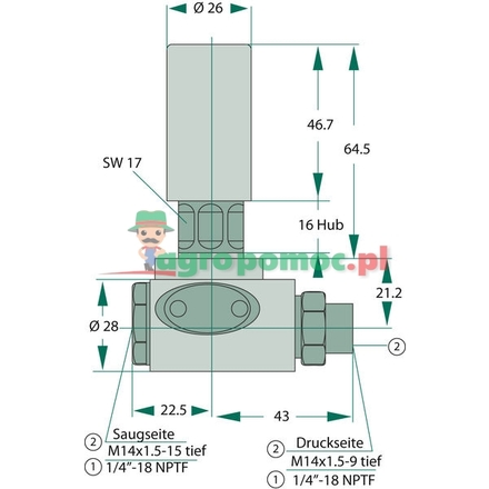 Bosch Leitungsförderpumpe