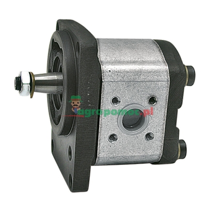 Bosch/Rexroth Single pump