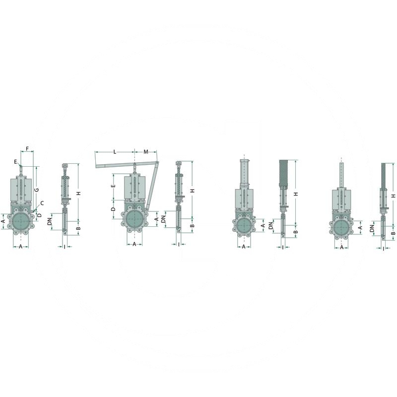 B&P Piston gate valve