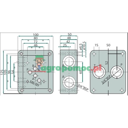 BREVINI NG10-Connection plate S/H 3/4" BSP | BS 5 17 00 1