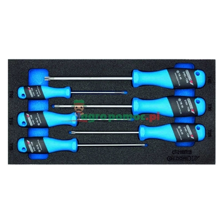 GEDORE Screwdriver set, BTX | 1500 CT1-2163 BTX