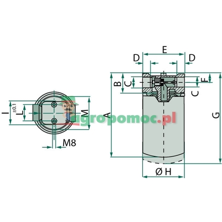 IKRON Suction filter HF30.155 P025 | 30.155