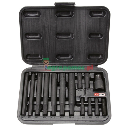 KS Tools CLASSIC bit set RIBE, 14pcs, 5/16"