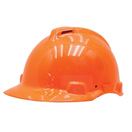 Peltor Forestry helmet