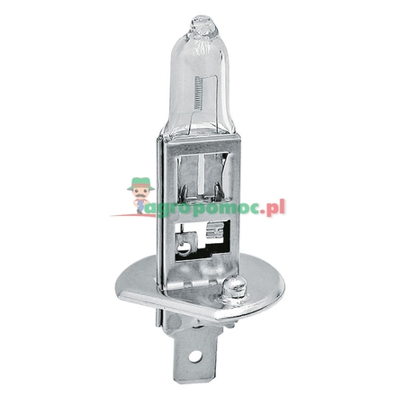 Philips Halogen bulb H1