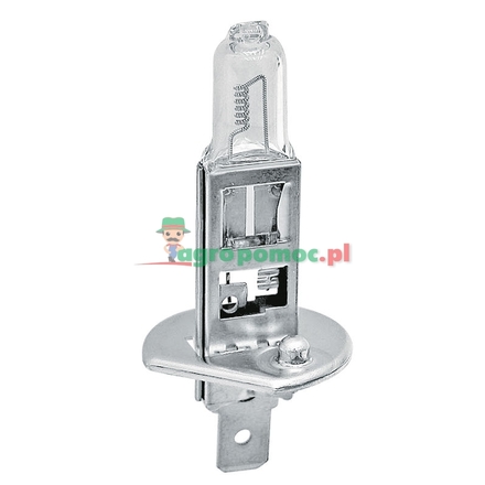 Philips Halogen bulb H1