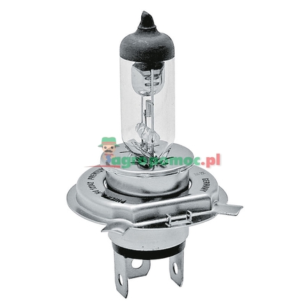 Philips Halogen bulb H4