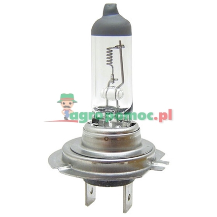 Philips Halogen bulb H7