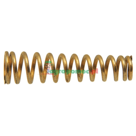 Rau Conical spring | 00014016