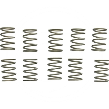 Suevia Valve spring