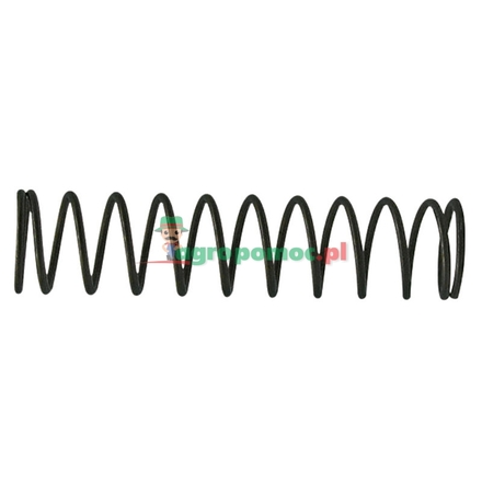 Walterscheid Compression spring | 099050